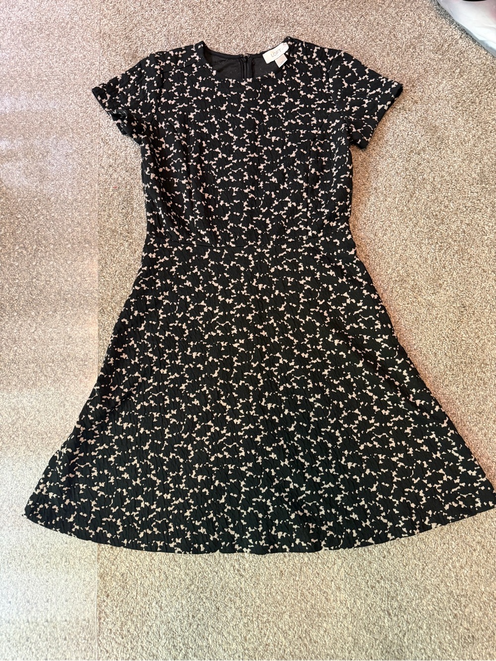 Loft Short Sleeve Fit-and-Flare Dress